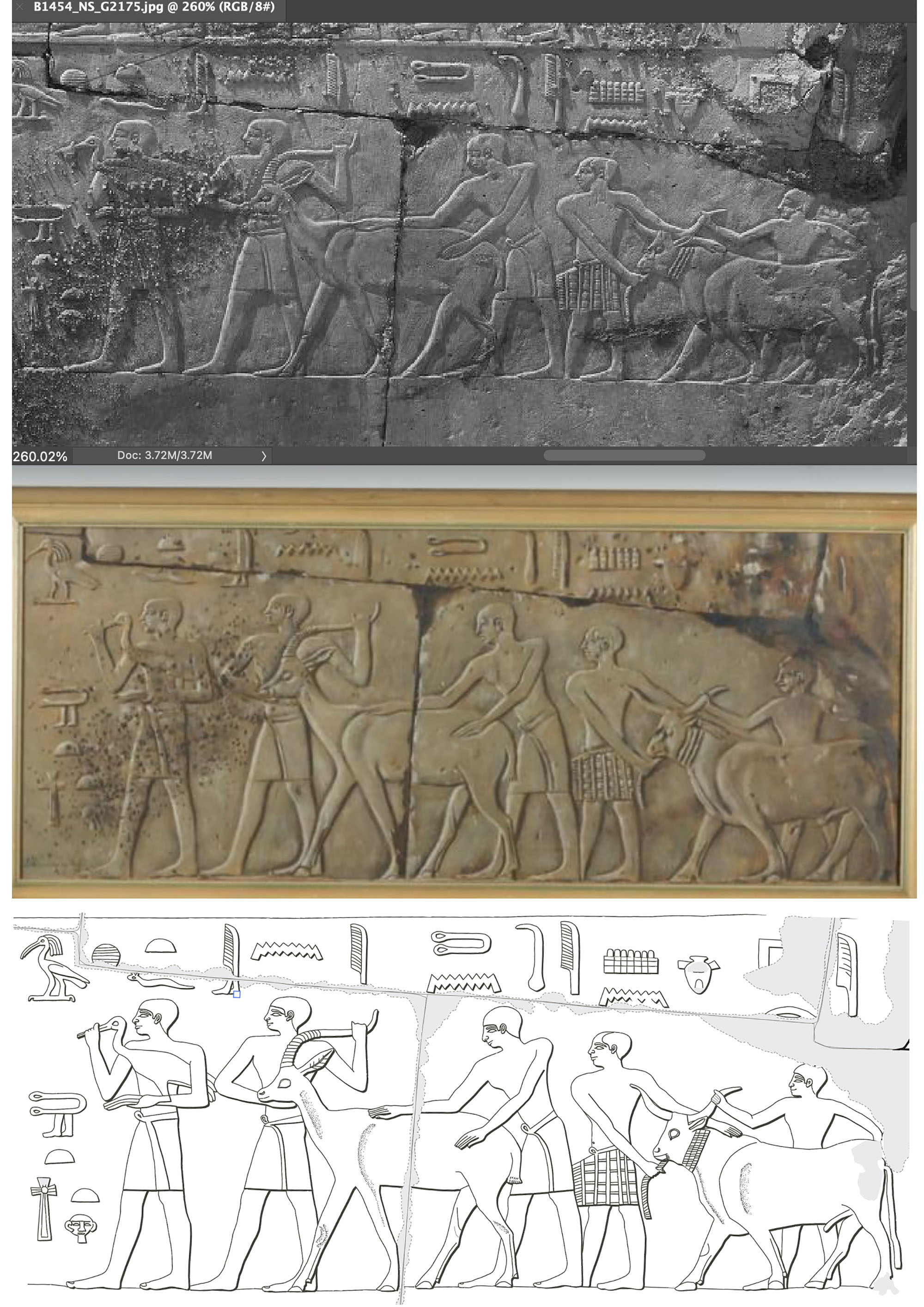 bas relief documented 3 ways: black and white, color, and line drawing