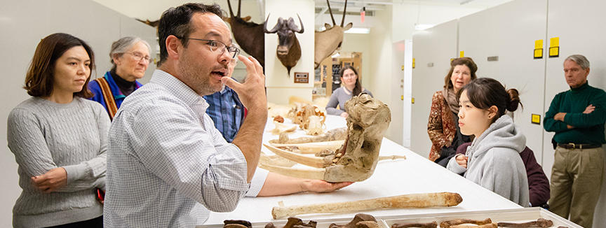 Diverse group of people looking at collections.