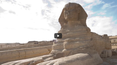 the sphinx.