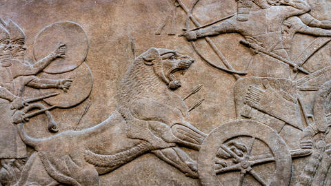 An Assyrian bas-relief depiction of chariot riders fighting lions.
