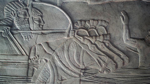 Chariot Driver