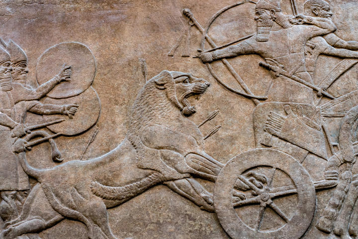 An Assyrian bas-relief depiction of chariot riders fighting lions.