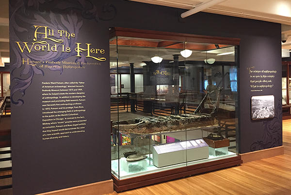 photo of All the World is Here exhibition