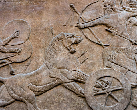 An Assyrian bas-relief depiction of chariot riders fighting lions.